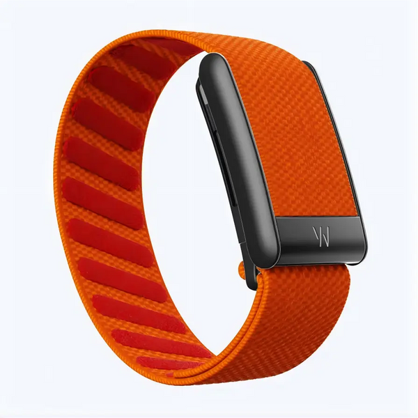 Bright Orange