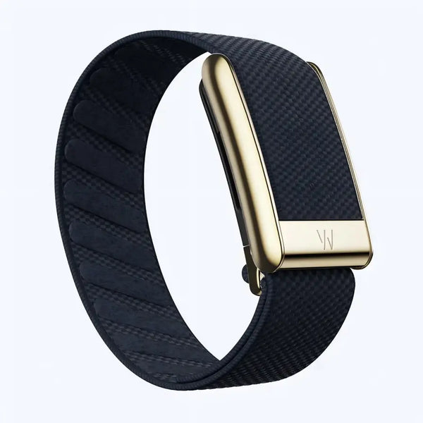 Midnight Blue