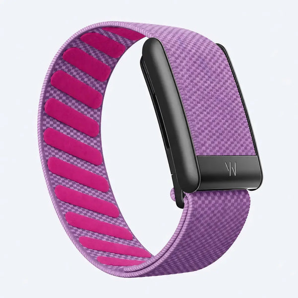 Purple Magenta