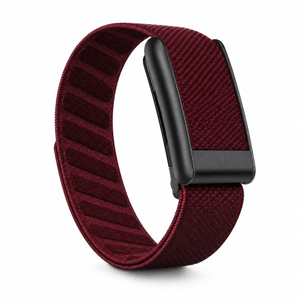 Burgundy Red