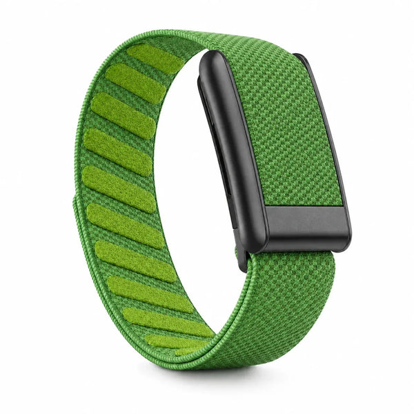 Lime Green