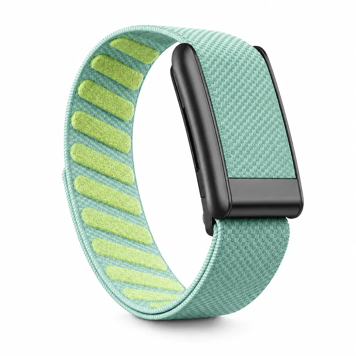 Mint Green & Lime
