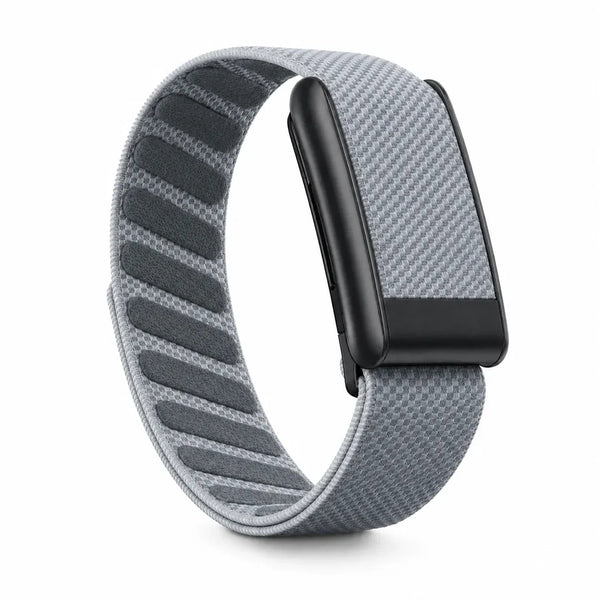 Silver Gray