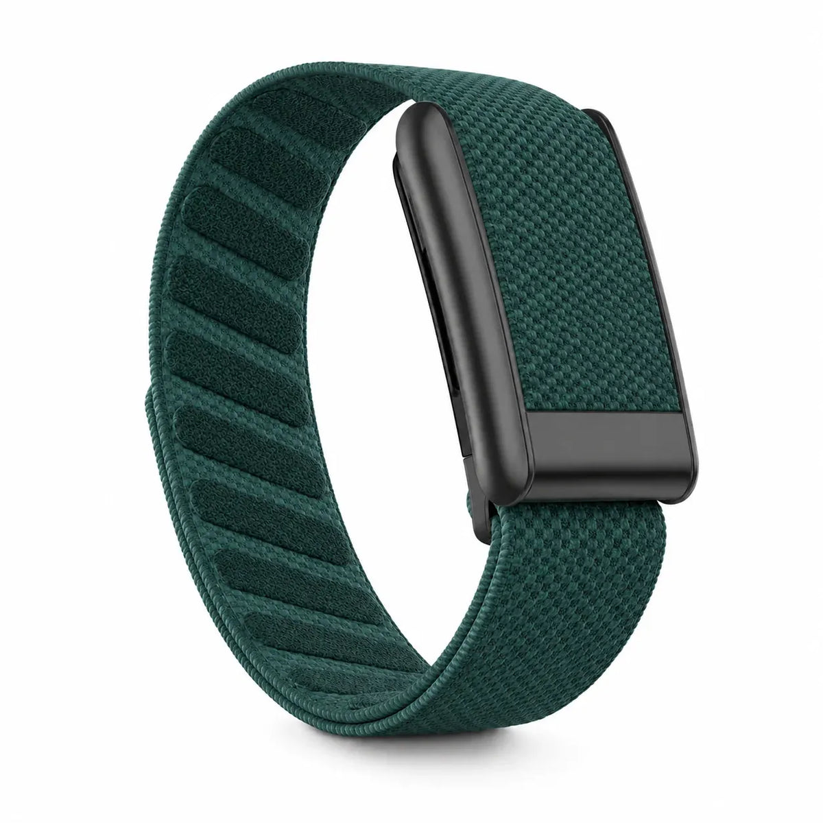 Teal Green