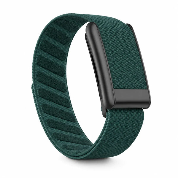 Teal Green
